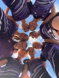 Image result for Swan Centre Netball Club