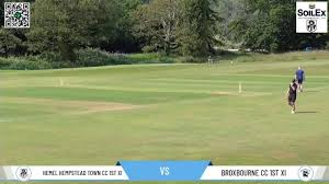 Image result for Hemel Hempstead Cc