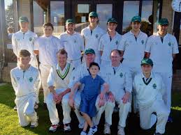 Image result for Halstead Colts Cricket Club