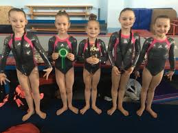 Image result for Bulmershe Gymnastics Club
