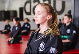 Image result for United Dojos Kickboxing