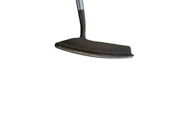 Image result for ProTouch Golf