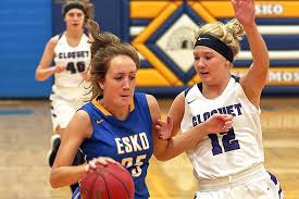 Image result for Hinckley & Bosworth Lady Hoops Basketball Club