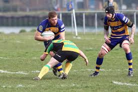 Image result for Effingham and Leatherhead Rfc