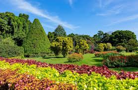 Image result for шри ланка королевский ботанический сад