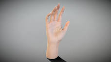 Female hand - Download Free 3D model by deep3dstudio ...