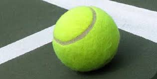 Image result for Ravenshead Petanque Club