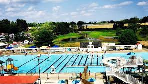 Image result for Belgrave Swimming Club