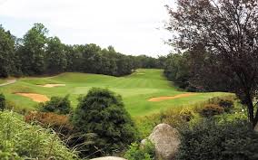 Image result for Clyne Golf Club Limited