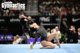 Image result for Harriers Acrobatic Gym Club