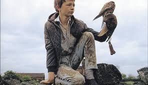 Kuvahaun tulos haulle kes