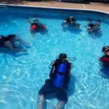 Image result for innerspace divers