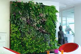 Image result for living wall