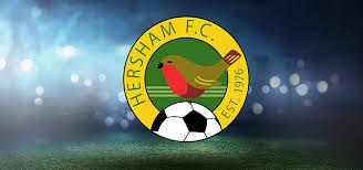 Image result for Hersham Hockey Club
