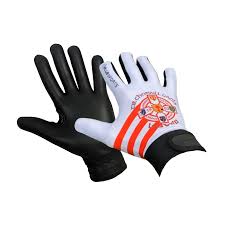 Image result for Tir Chonaill Gaels G A A Club