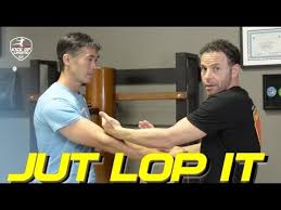 Image result for Dallo Martial Arts