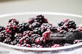 Image result for Rubus sectio