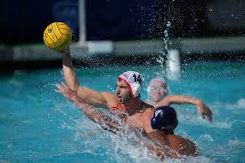 Image result for York University Swimming & Water Polo Club