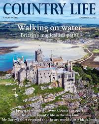 Image result for Marazion Smbc