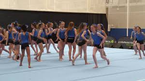 Image result for Arabian School Of Gymnastics