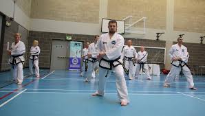 Image result for I T F Taekwondo (Andover)