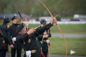 Image result for Silver Arrow Archery