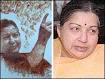 Portrait of Jayalalitha by Shihan Hussaini and the chief minister herself - _39854568_jayalal