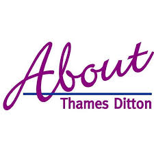 Image result for Thames Ditton Schools Fc