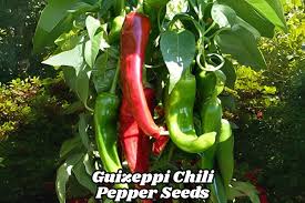 Afbeeldingsresultaat voor numex sandia hot pepper