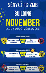 Image result for sényő