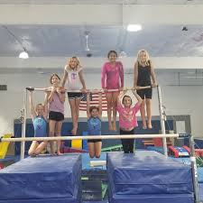 Image result for Northern Gymnastics Club CIC