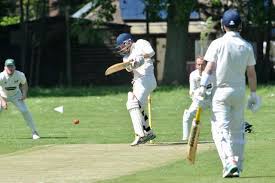 Image result for Horsham Trinity Cricket Club