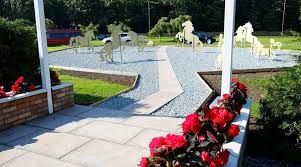 Image result for Scottish Equi Complex