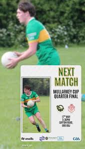 Image result for Garryowen Gfc