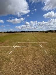 Image result for Wilden Village Cricket Club