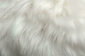 Image result for white rabbit skin texture