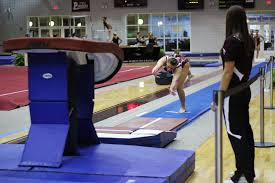 Image result for North Devon Display Gymnastics Club