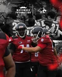 Image result for Warwick Wolves