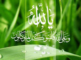 images