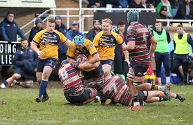 Image result for Old Albanian Rugby Football Club