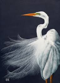 Attēlu rezultāti vaicājumam “Egretta alba”