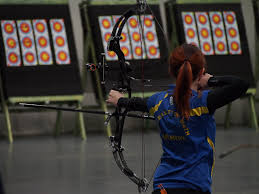 Image result for Telford Archers