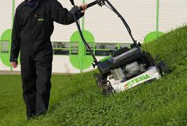Image result for etesia tehron