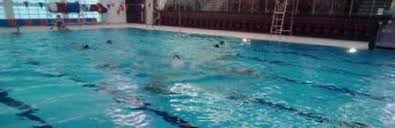 Image result for Orkney Octopush Club