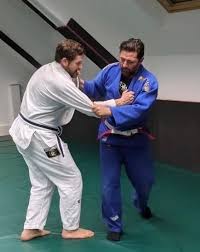 Image result for Devines Martial Arts
