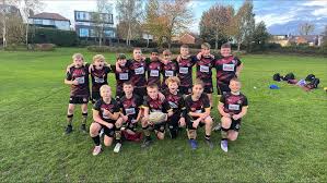 Image result for Mayfield Rugby League Football Club
