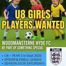 Image result for Woodmansterne Sports Fc