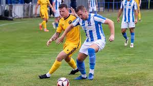 Image result for Cowes Sports Football Club
