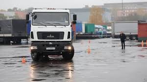 Attēlu rezultāti vaicājumam “Lycogala persicum”