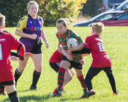 Image result for Wilmslow Rugby Union Football Club